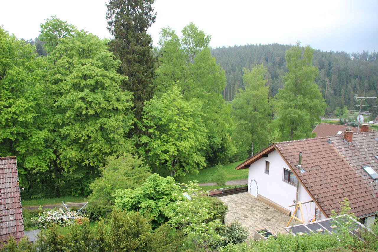 Kuckucksnester Friedenweiler Exterior photo